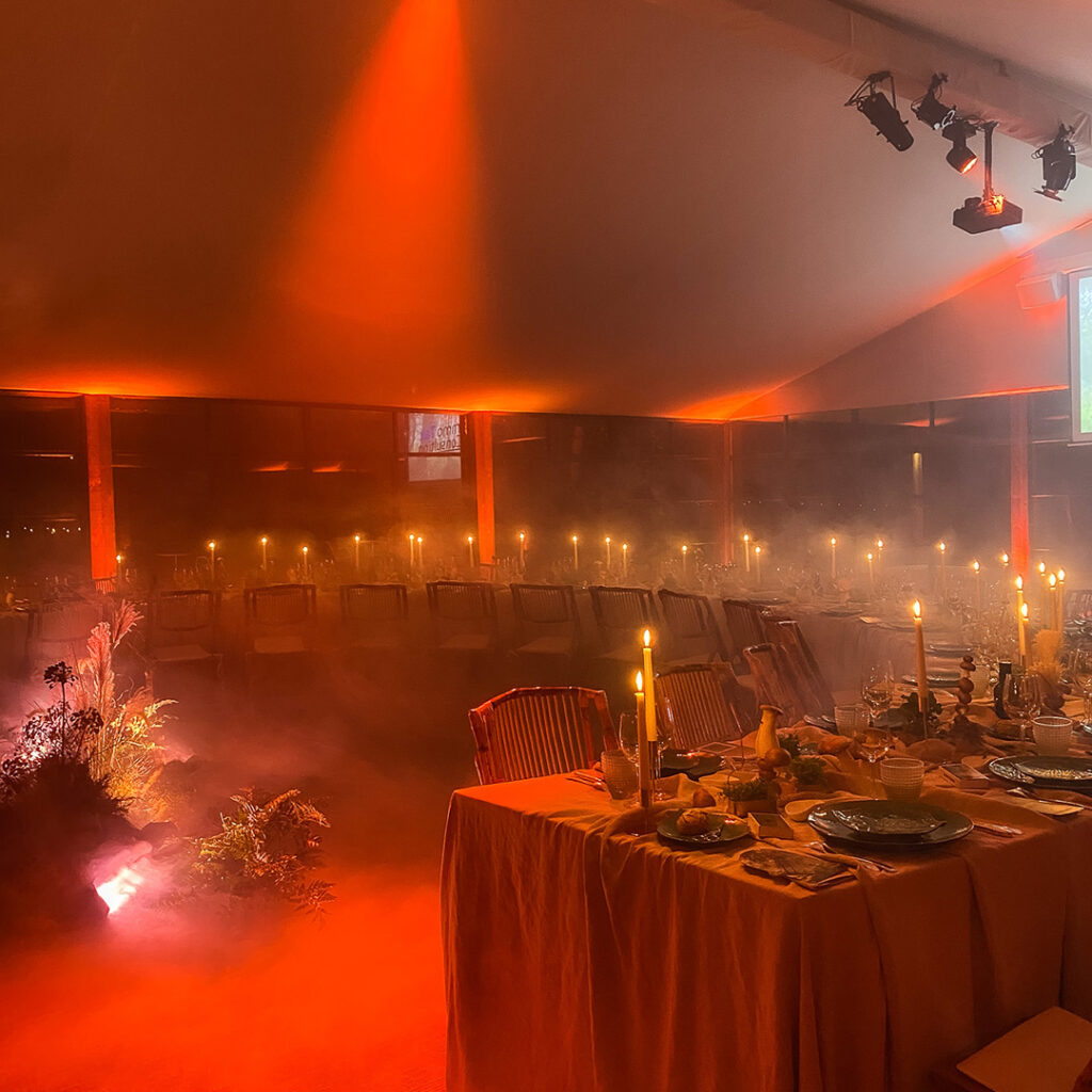 Dinner à Drogenbos_Chou Tournesol Platinium red Lights